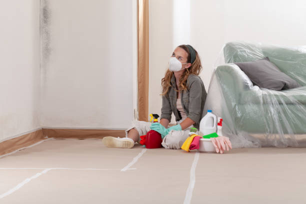 Reliable Mold Remediation contractor in Burlington, KY by 24 Hour Mold Removal